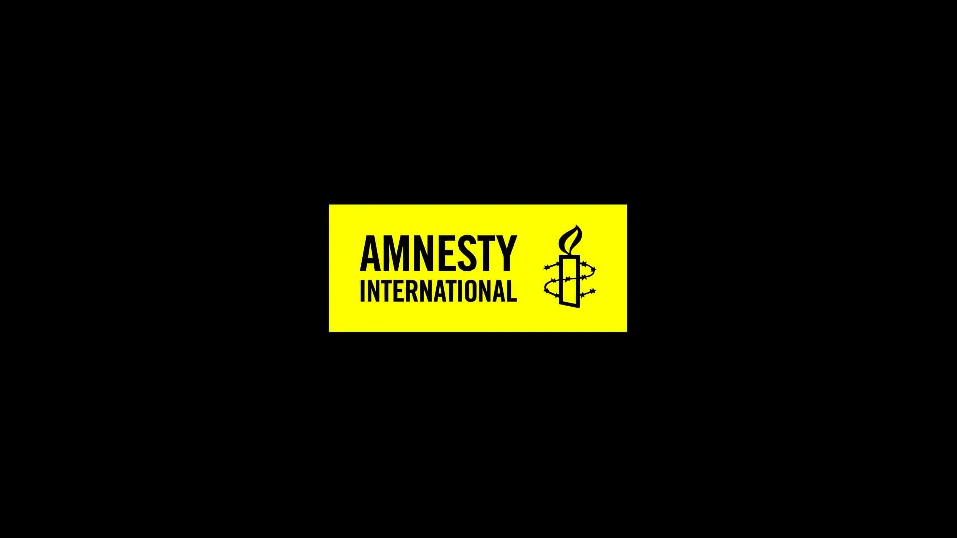 Amnesty x Won Hundred